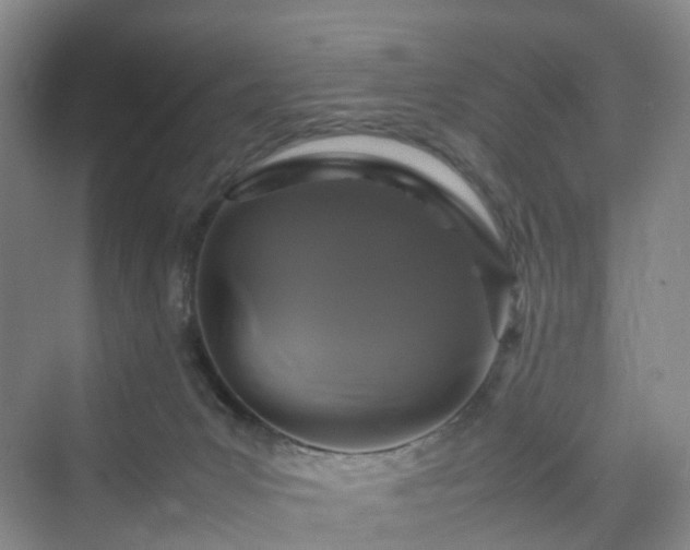 X0000070230031200606021359