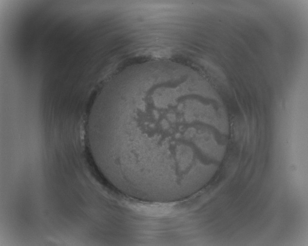 X0000070230032200606021359