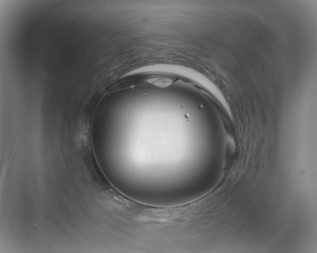 X0000070230033200606021359