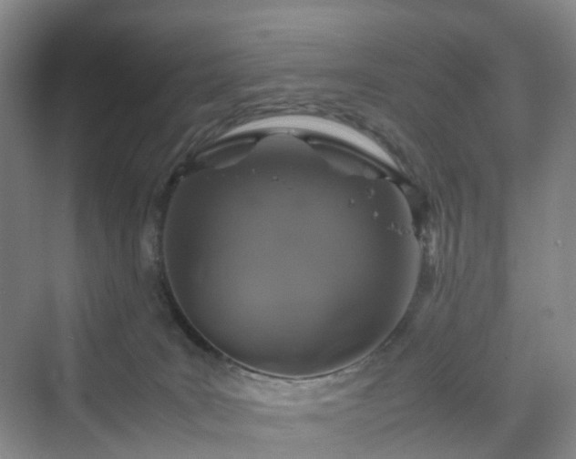 X0000070230035200606021359