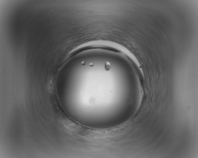 X0000070230037200606021359