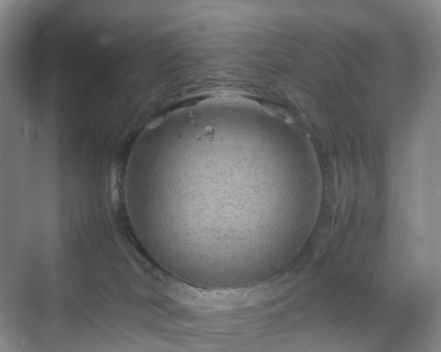 X0000070230038200606021359