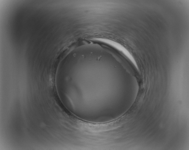 X0000070230039200606021358