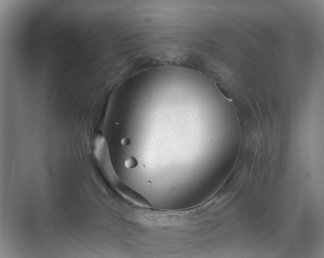 X0000070230040200606021358