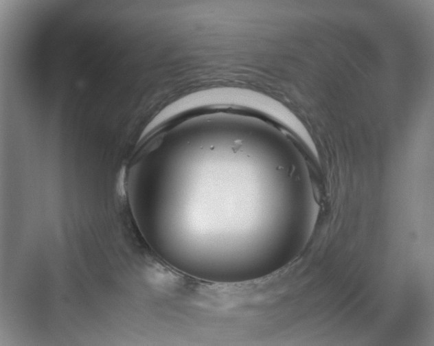 X0000070230041200606021358