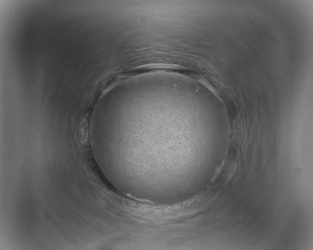 X0000070230043200606021358