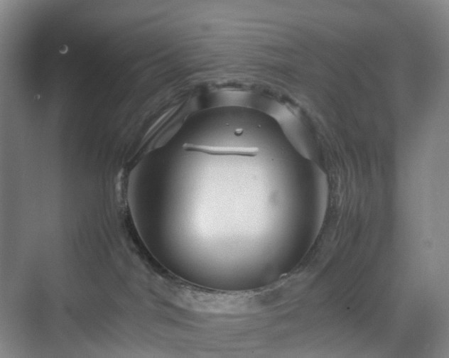 X0000070230044200606021358