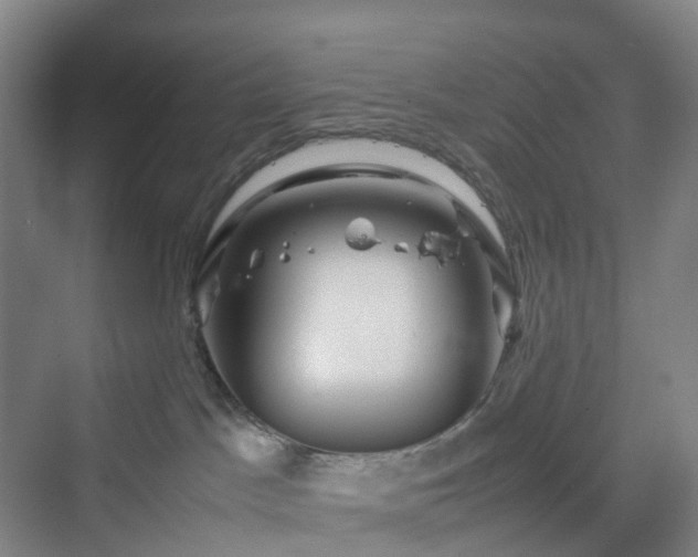 X0000070230045200606021358