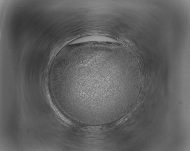 X0000070230049200606021358