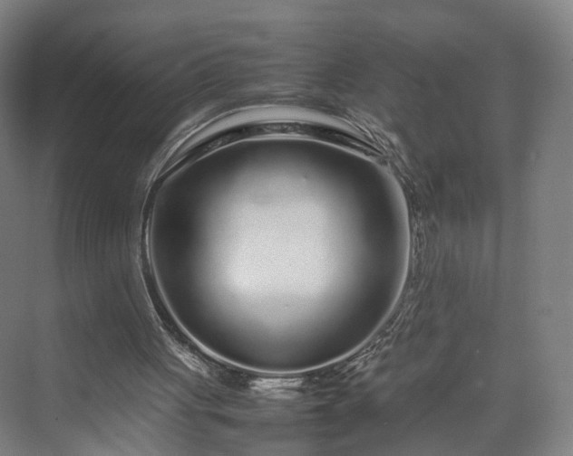 X0000070230051200606021358