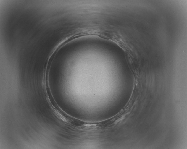 X0000070230052200606021358