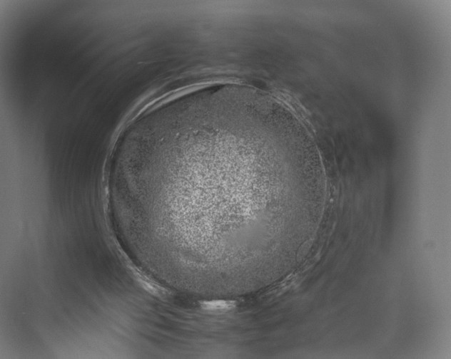 X0000070230053200606021358