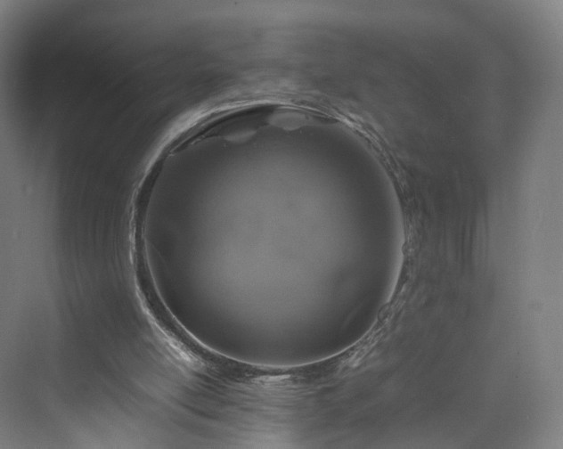 X0000070230054200606021358