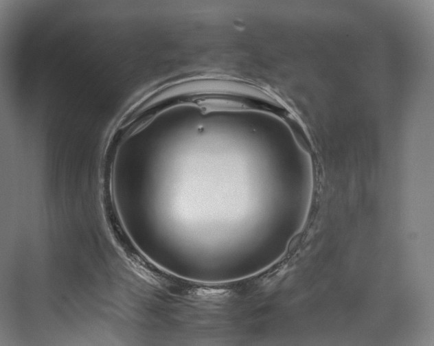 X0000070230055200606021358