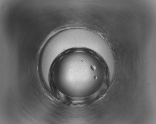 X0000070230056200606021358