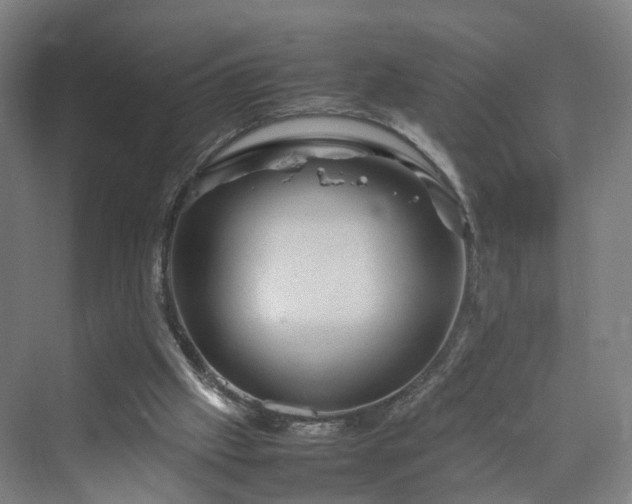 X0000070230057200606021358