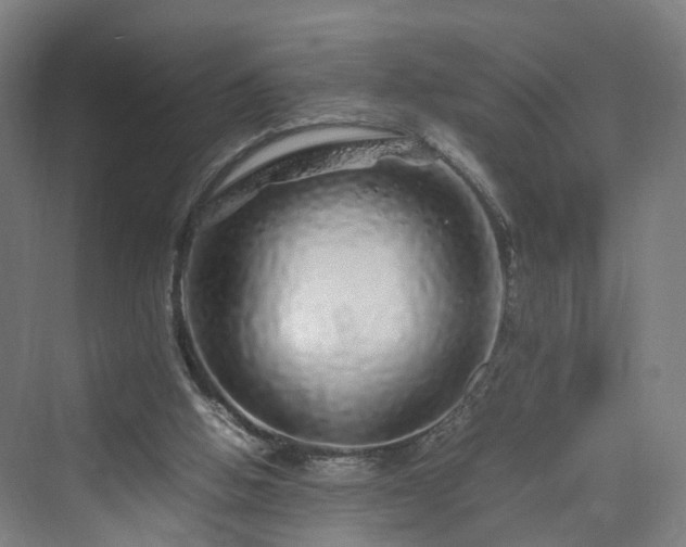 X0000070230058200606021358