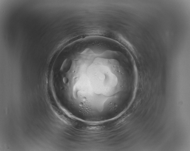 X0000070230059200606021358