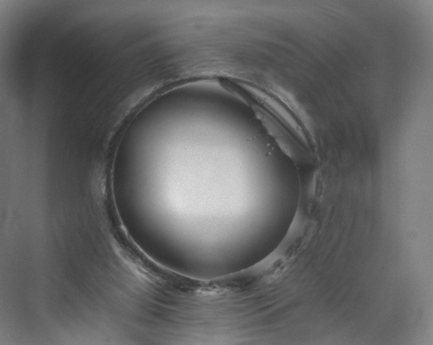 X0000070230060200606021358