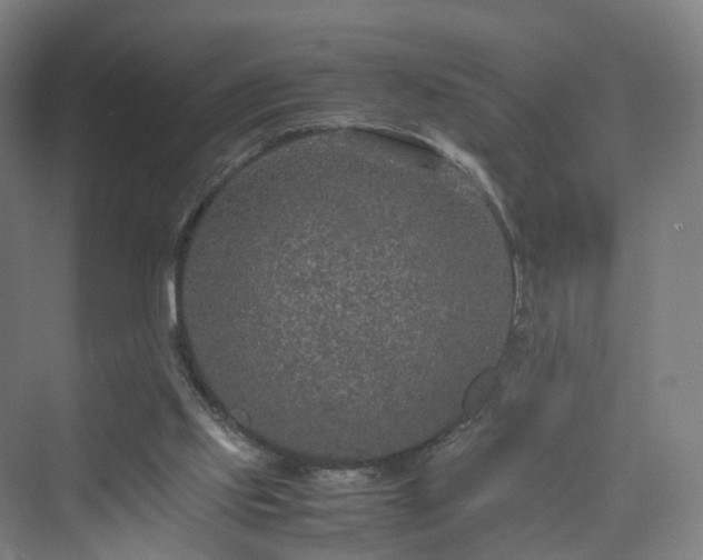 X0000070230061200606021358