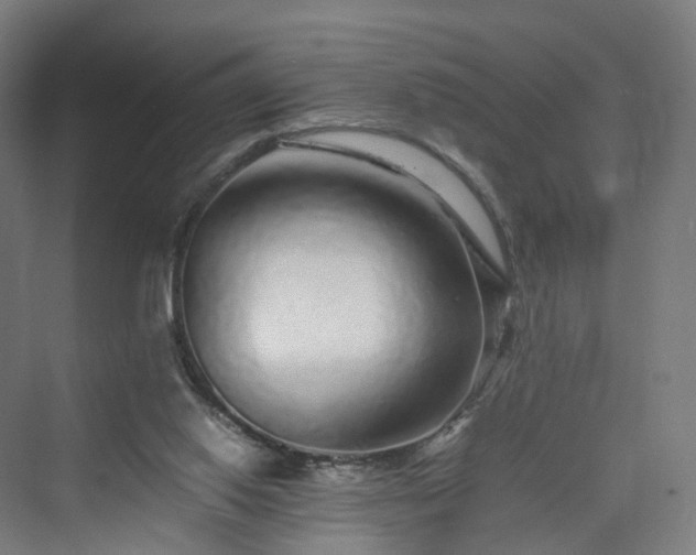 X0000070230062200606021358