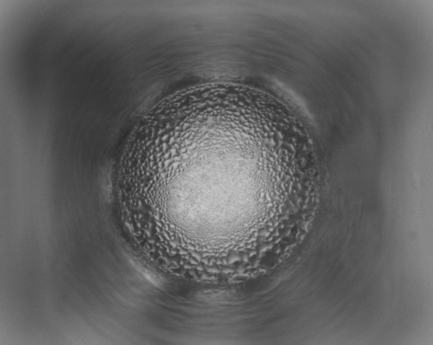 X0000070230065200606021358