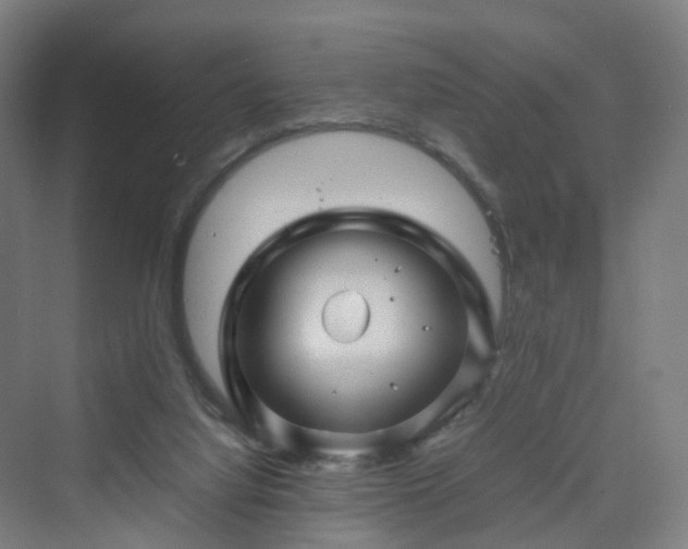 X0000070230068200606021358