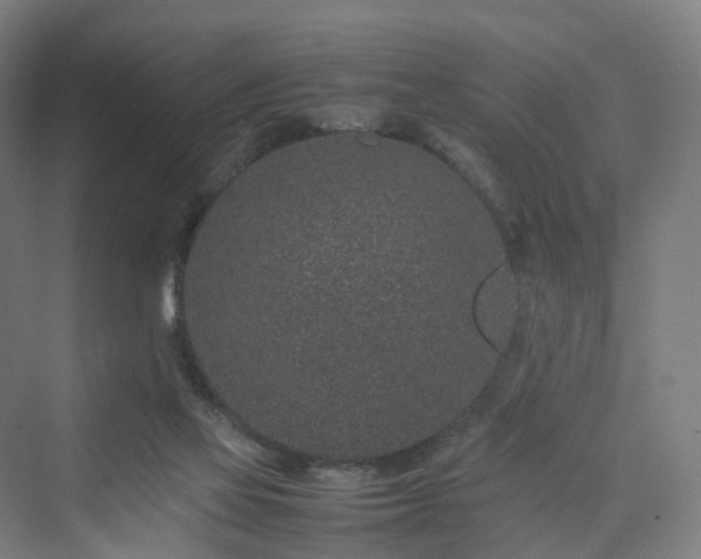 X0000070230069200606021358