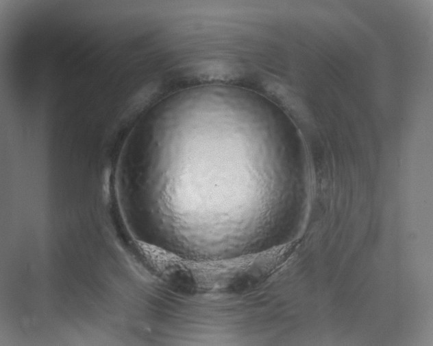 X0000070230070200606021358