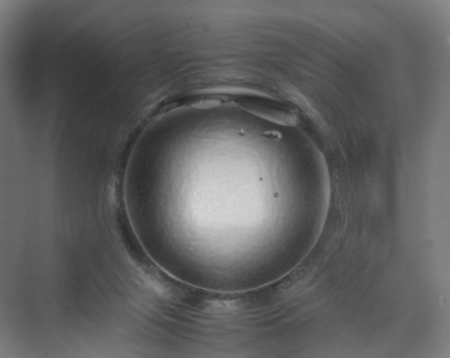 X0000070230071200606021358