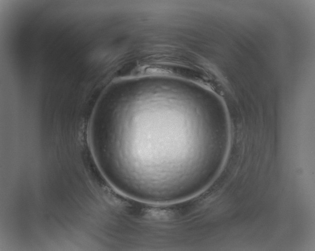 X0000070230073200606021358