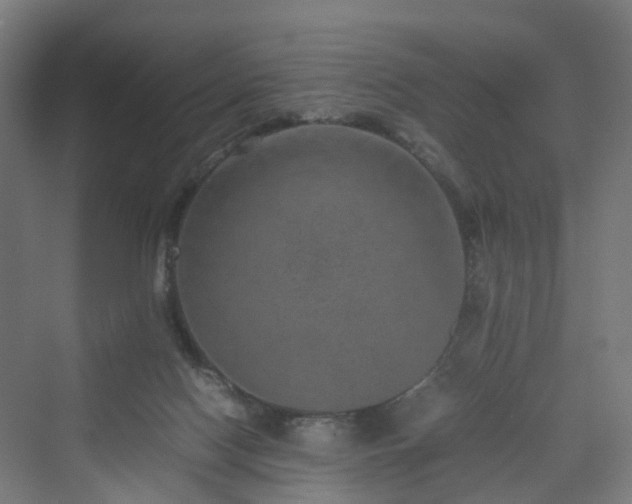 X0000070230074200606021358