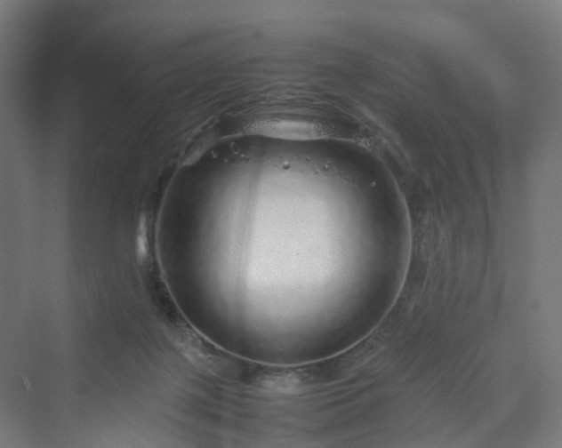 X0000070230075200606021358