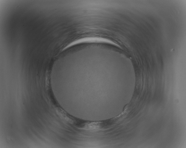 X0000070230078200606021358