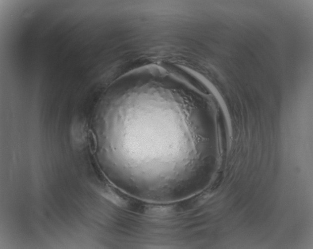 X0000070230081200606021358