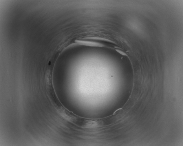 X0000070230083200606021358