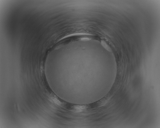 X0000070230085200606021358