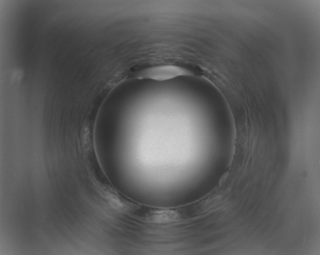 X0000070230087200606021358