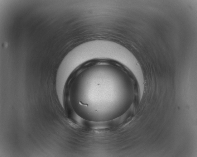 X0000070230092200606021358