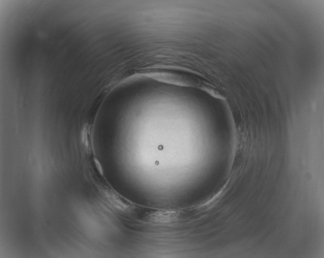 X0000070230094200606021358