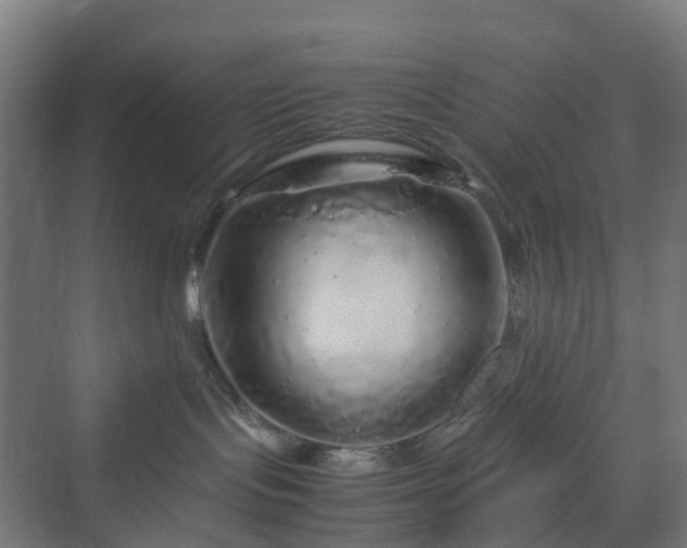 X0000070230095200606021358