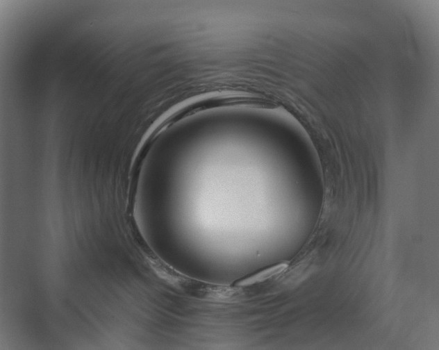 X0000070230096200606021358