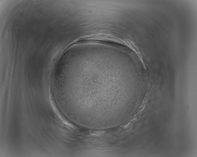 X0000070230097200606021358