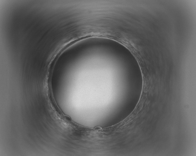 X0000070230098200606021358