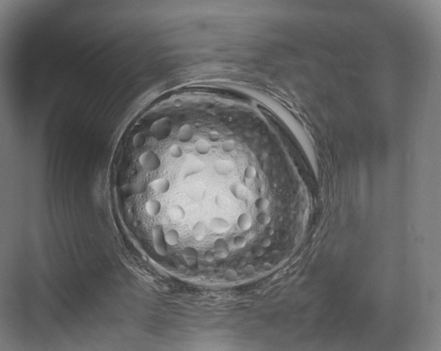 X0000070230099200606021357