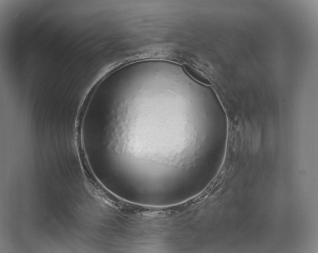 X0000070230100200606021357