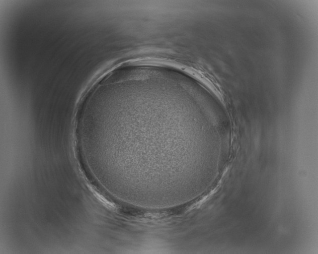 X0000070230101200606021357