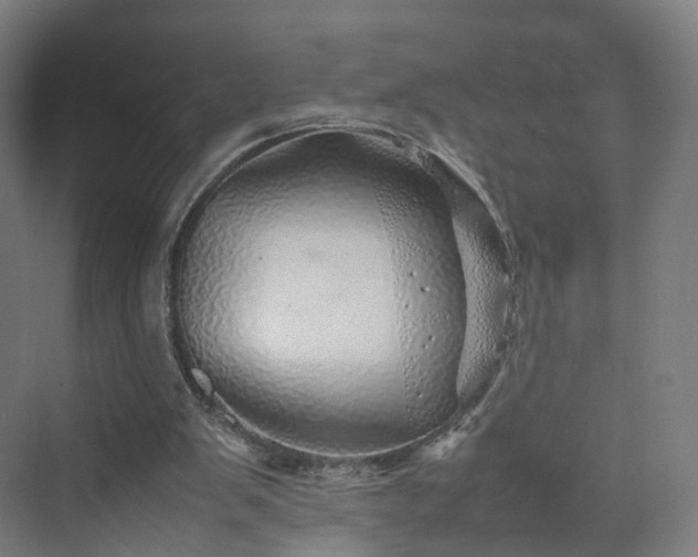 X0000070230103200606021357