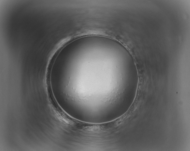 X0000070230104200606021357