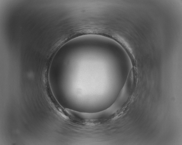 X0000070230105200606021357